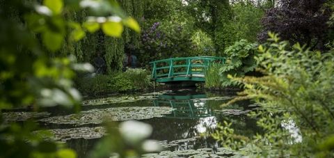 Painting the Modern Garden: Monet to Matisse