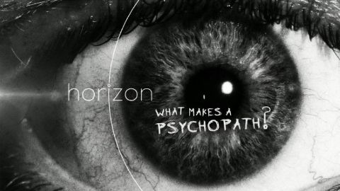What Makes a Psychopath